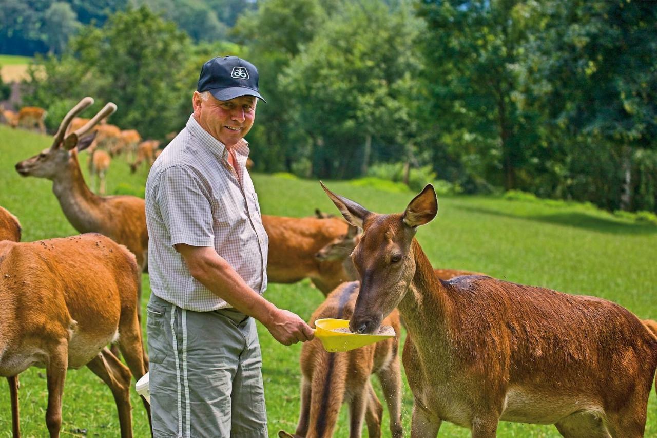 Gaestezimmer Buchegger Krumbach  外观 照片